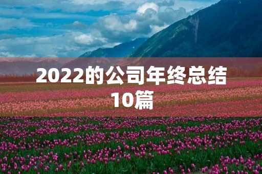 2022的公司年终总结10篇