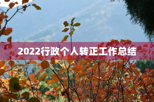 2022行政个人转正工作总结
