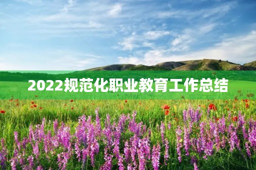 2022规范化职业教育工作总结