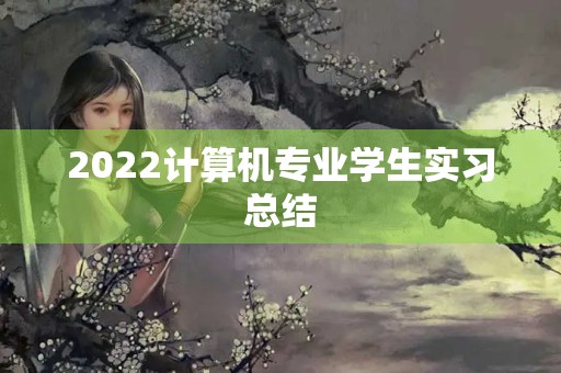 2022计算机专业学生实习总结