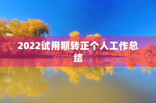 2022试用期转正个人工作总结