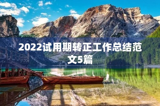 2022试用期转正工作总结范文5篇