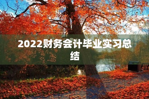 2022财务会计毕业实习总结 2022财务会计毕业实习总结