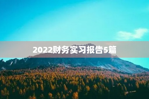 2022财务实习报告5篇 2022财务实习报告5篇