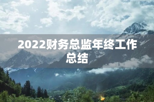 2022财务总监年终工作总结
