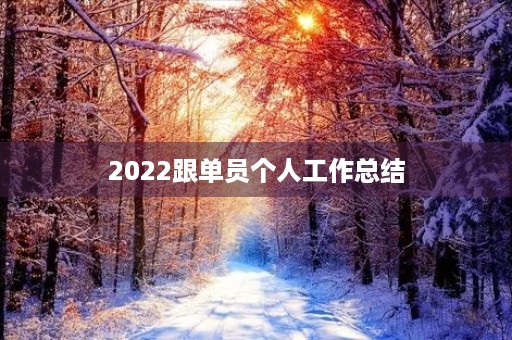 2022跟单员个人工作总结 2022跟单员个人工作总结