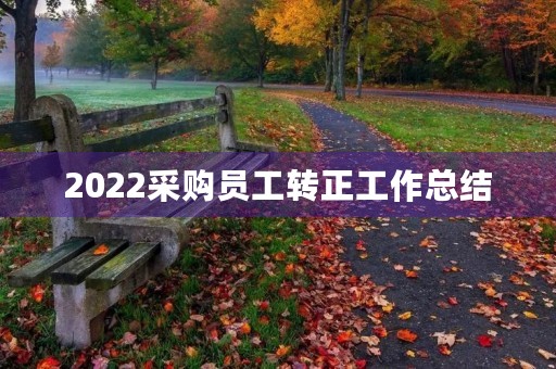 2022采购员工转正工作总结