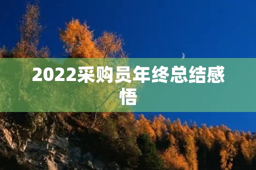 2022采购员年终总结感悟 2022采购员年终总结感悟