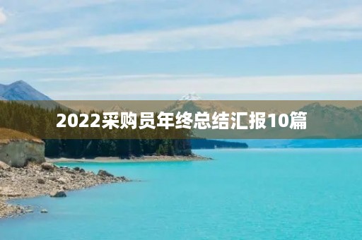 2022采购员年终总结汇报10篇