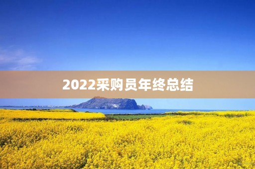 2022采购员年终总结