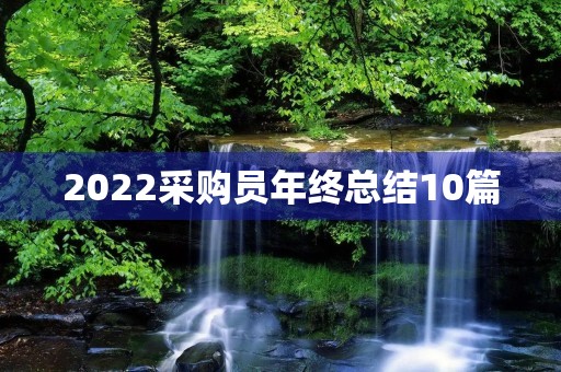 2022采购员年终总结10篇 2022采购员年终总结10篇
