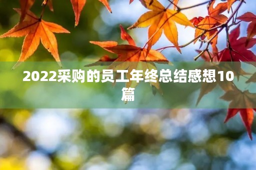 2022采购的员工年终总结感想10篇