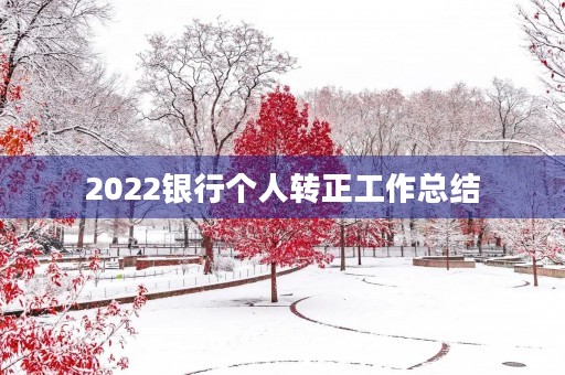 2022银行个人转正工作总结