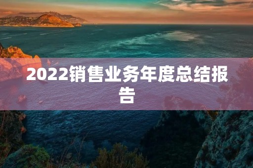 2022销售业务年度总结报告