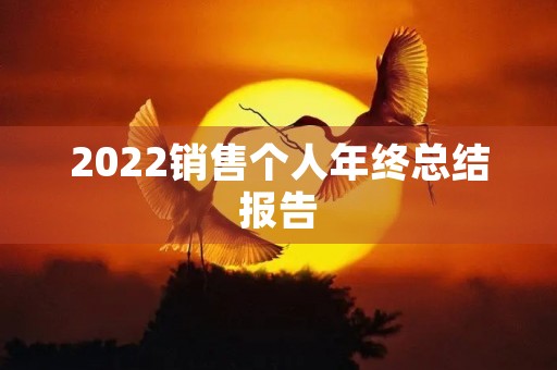 2022销售个人年终总结报告