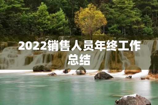 2022销售人员年终工作总结(通用)