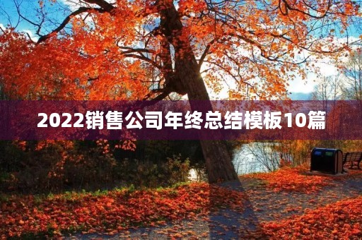 2022销售公司年终总结模板10篇