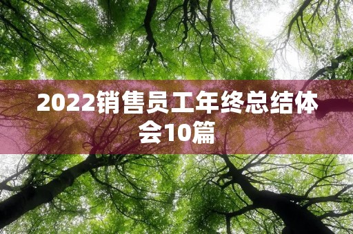 2022销售员工年终总结体会10篇 2022销售员工年终总结体会10篇