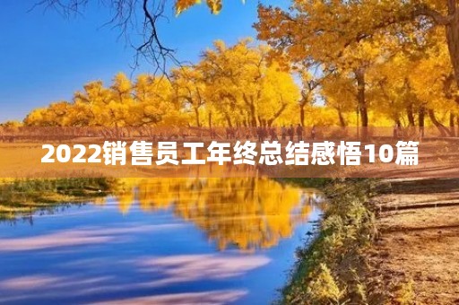 2022销售员工年终总结感悟10篇