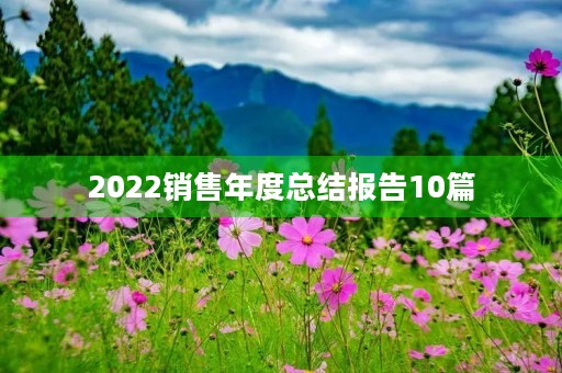 2022销售年度总结报告10篇