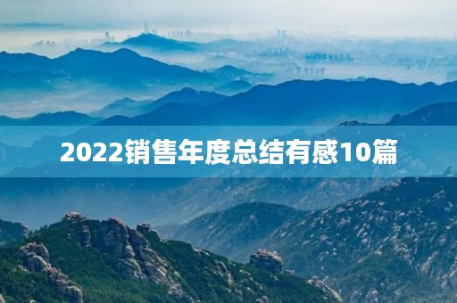 2022销售年度总结有感10篇