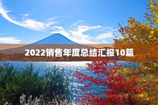 2022销售年度总结汇报10篇