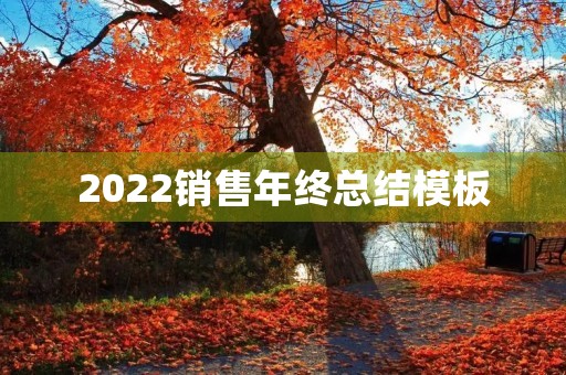 2022销售年终总结模板