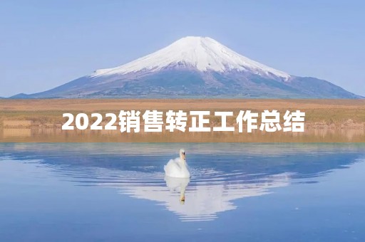 2022销售转正工作总结