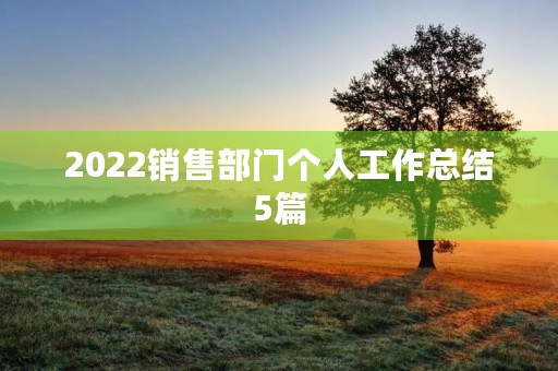 2022销售部门个人工作总结5篇