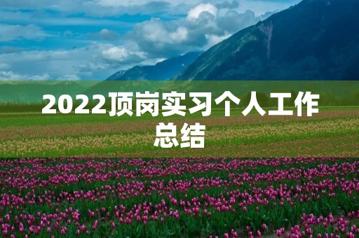 2022顶岗实习个人工作总结