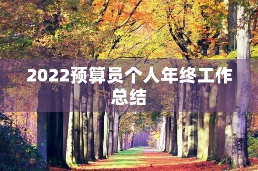 2022预算员个人年终工作总结