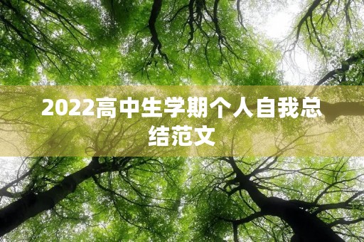2022高中生学期个人自我总结范文
