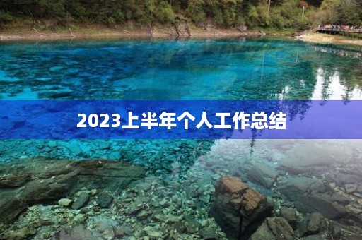 2023上半年个人工作总结
