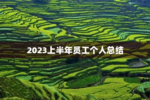 2023上半年员工个人总结