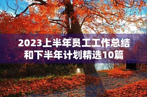 2023上半年员工工作总结和下半年计划精选10篇