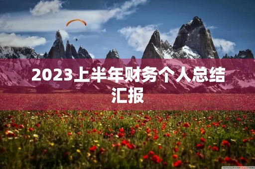 2023上半年财务个人总结汇报