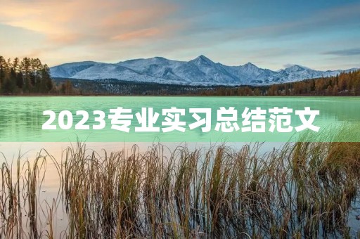2023专业实习总结范文