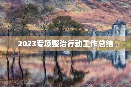 2023专项整治行动工作总结
