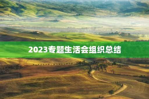 2023专题生活会组织总结