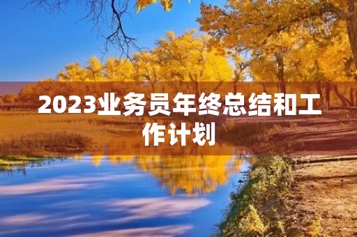 2023业务员年终总结和工作计划 2023业务员年终总结和工作计划