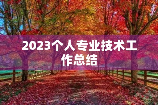 2023个人专业技术工作总结