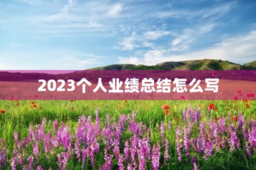 2023个人业绩总结怎么写 2023个人业绩总结怎么写