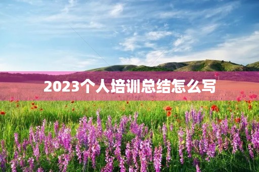2023个人培训总结怎么写