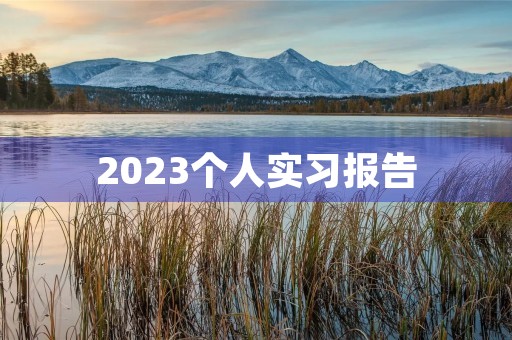 2023个人实习报告【五篇】