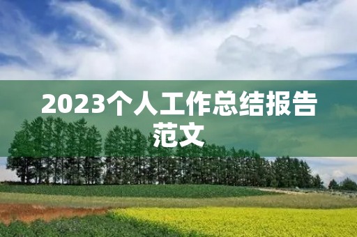 2023个人工作总结报告范文 2023个人工作总结报告范文