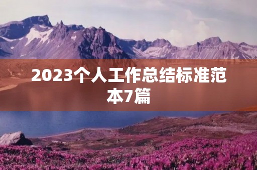 2023个人工作总结标准范本7篇