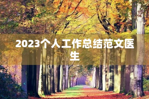 2023个人工作总结范文医生