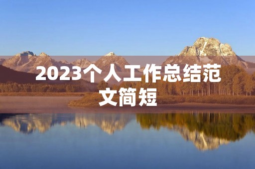 2023个人工作总结范文简短