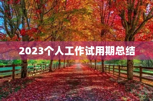 2023个人工作试用期总结