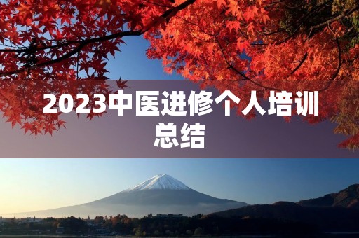 2023中医进修个人培训总结
